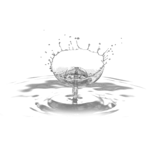 Splish Splash